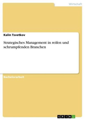 Strategisches management - strategisches, in